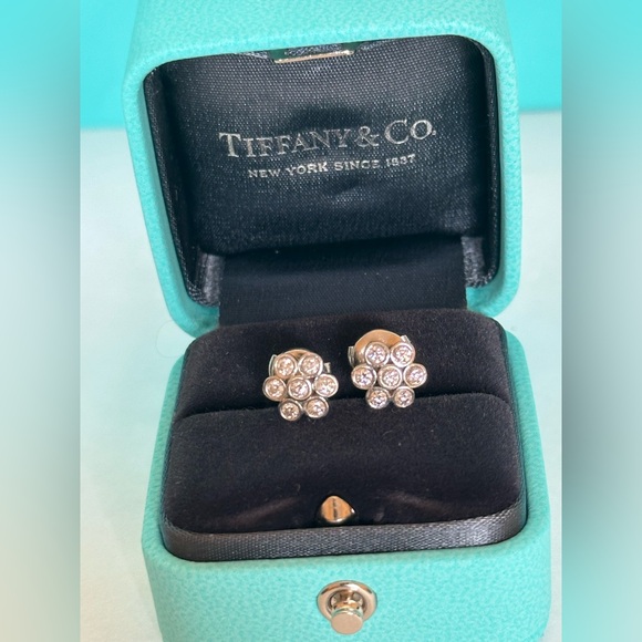 Tiffany & Co. Jewelry - Tiffany & Co. platinum & diamonds earrings!